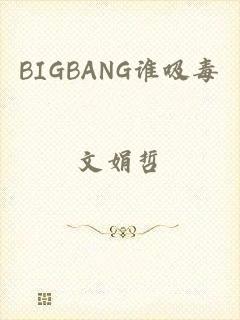 BIGBANG谁吸毒