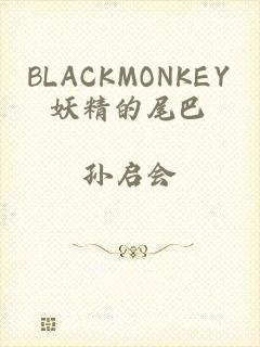 BLACKMONKEY妖精的尾巴