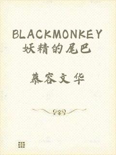 BLACKMONKEY妖精的尾巴