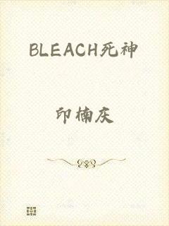 BLEACH死神