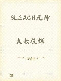 BLEACH死神