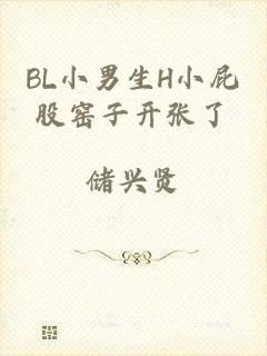 BL小男生H小屁股窑子开张了
