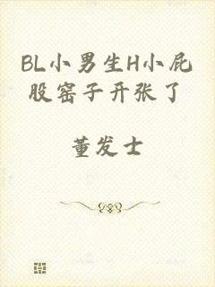 BL小男生H小屁股窑子开张了
