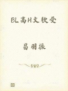 BL高H文软受