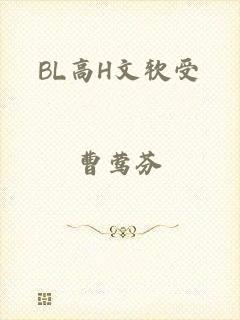 BL高H文软受