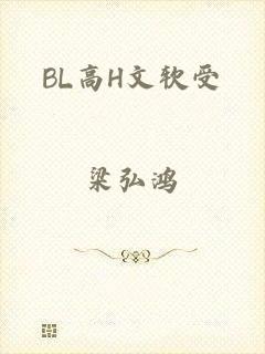 BL高H文软受