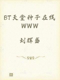 BT天堂种子在线WWW