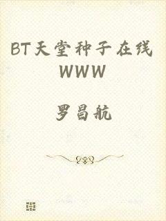 BT天堂种子在线WWW