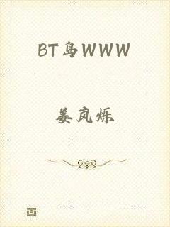 BT岛WWW