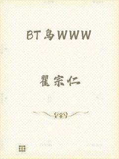 BT岛WWW