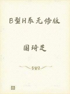 B型H系无修版