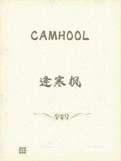 CAMHOOL