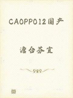 CAOPPO12国产