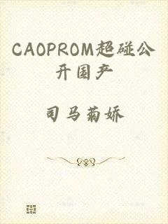 CAOPROM超碰公开国产