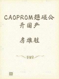 CAOPROM超碰公开国产