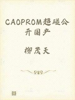 CAOPROM超碰公开国产
