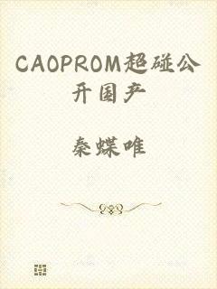 CAOPROM超碰公开国产