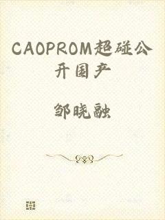 CAOPROM超碰公开国产