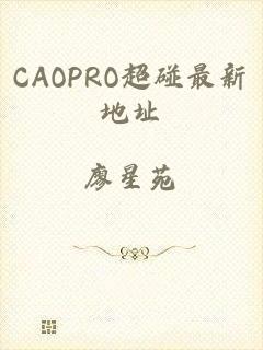 CAOPRO超碰最新地址