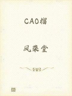 CAO榴