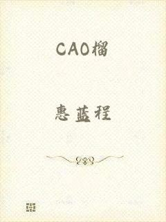 CAO榴