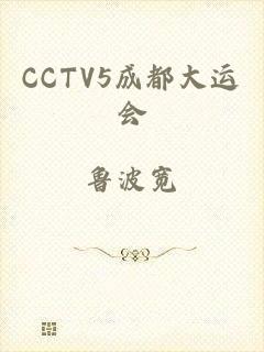 CCTV5成都大运会