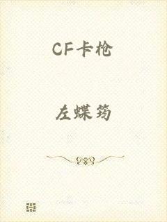 CF卡枪