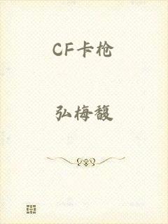 CF卡枪