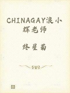 CHINAGAY浪小辉老师