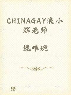 CHINAGAY浪小辉老师