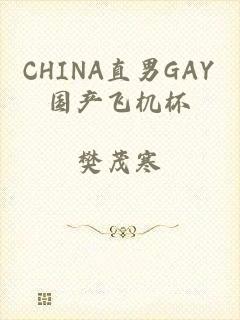 CHINA直男GAY国产飞机杯