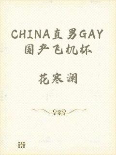 CHINA直男GAY国产飞机杯