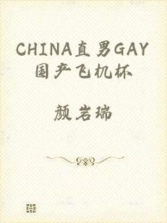 CHINA直男GAY国产飞机杯