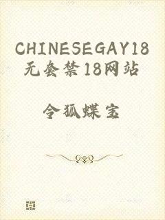 CHINESEGAY18无套禁18网站