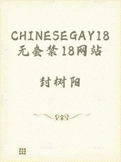 CHINESEGAY18无套禁18网站