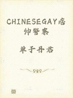 CHINESEGAY痞帅警察