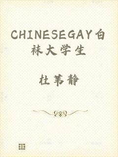 CHINESEGAY白袜大学生