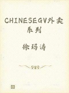 CHINESEGV外卖系列