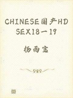 CHINESE国产HDSEX18一19