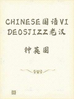 CHINESE国语VIDEOSJIZZ老汉