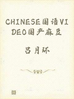 CHINESE国语VIDEO国产麻豆