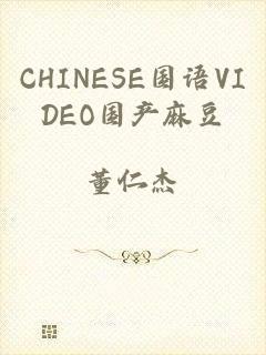 CHINESE国语VIDEO国产麻豆