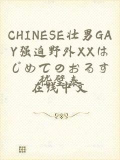 CHINESE壮男GAY强迫野外XXはじめてのおるす在线中文