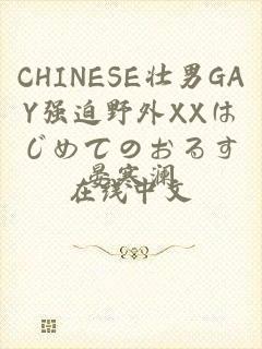 CHINESE壮男GAY强迫野外XXはじめてのおるす在线中文