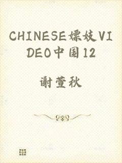 CHINESE嫖妓VIDEO中国12
