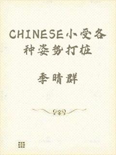 CHINESE小受各种姿势打桩