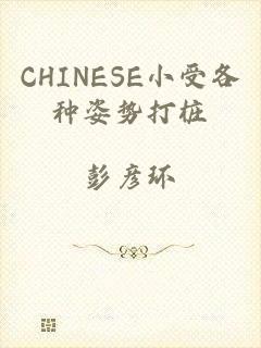 CHINESE小受各种姿势打桩