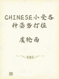 CHINESE小受各种姿势打桩