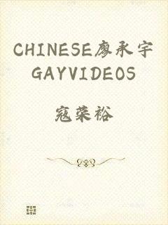 CHINESE廖承宇GAYVIDEOS