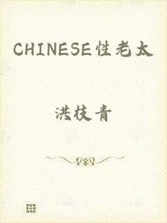 CHINESE性老太